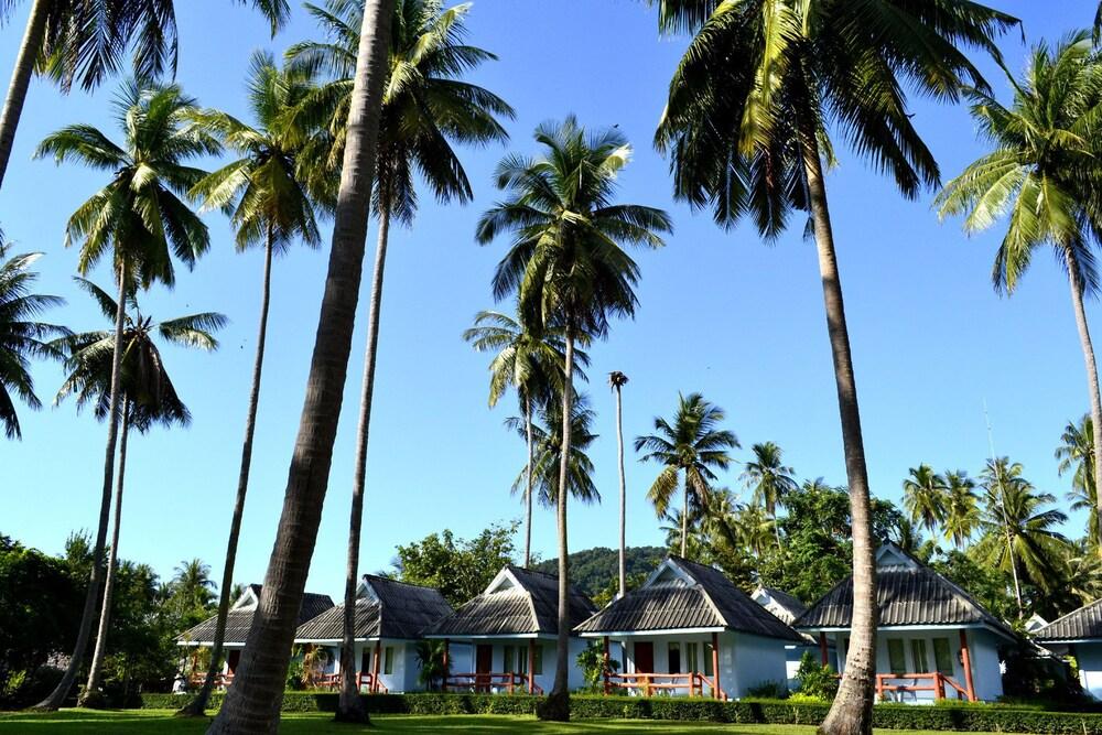 كوه ياو تشوكيت داشنان ريزورت المنطقة المحيطة بالمنشأة