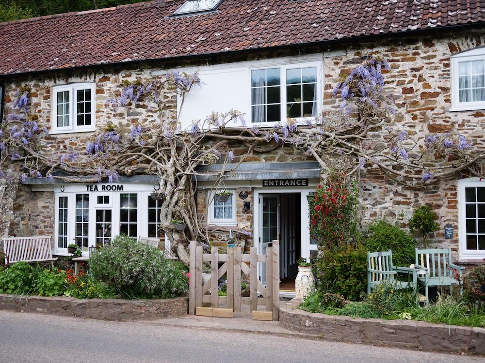 ذا بارك هاوس