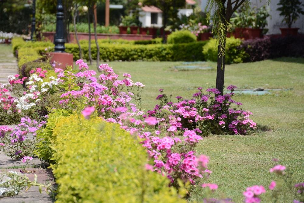 ناتورفيل أيورفيديك آند يوجا ريتريت باي أوبن سكاي المنطقة الخارجية