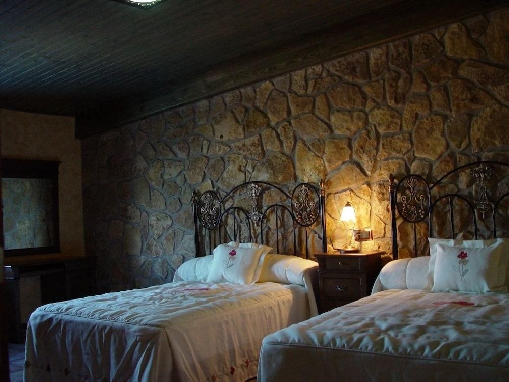 هوتل فينيدوس واي بوديجاس إل كاستيلو غرفة