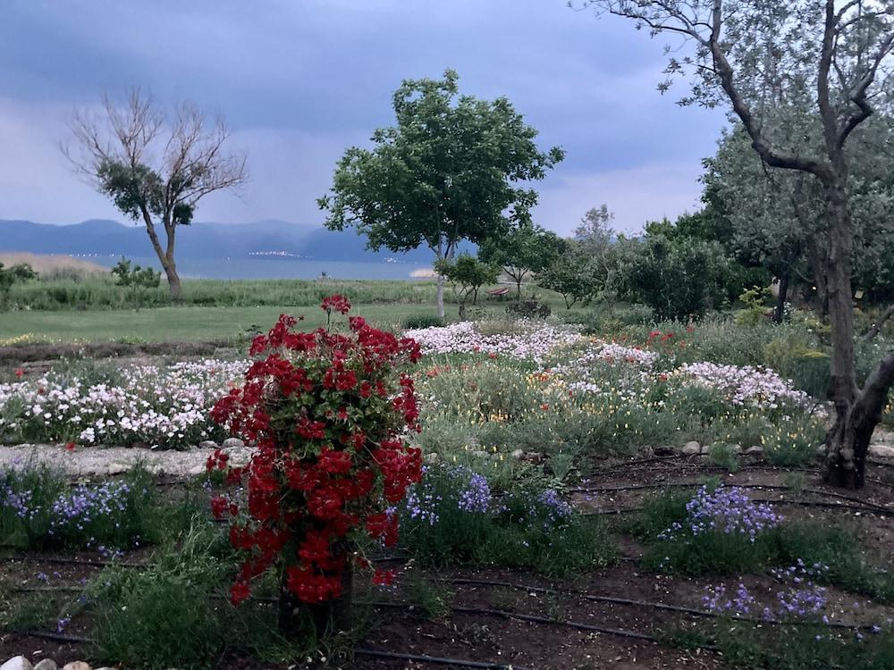 بيرفيكت هوم ويذ برايفت بيتش باي إيزنيك ليك المنطقة المحيطة بالمنشأة