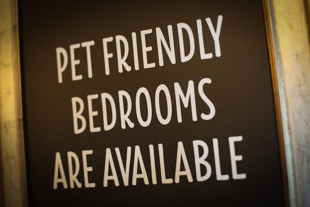 ذا لينديسفارن إن - ذا إن كوليكشن جروب منطقة الاستقبال