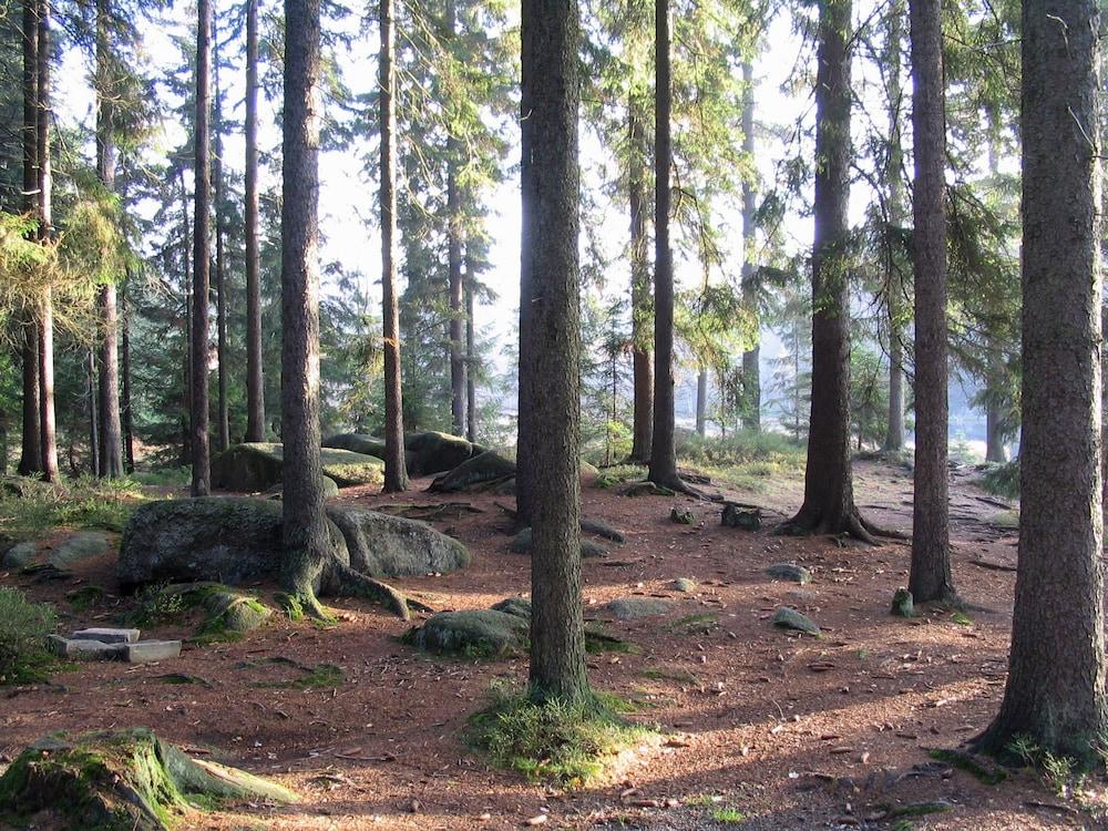 فاميلي فريندلي هوليداي هوم إن فيتشتلبرج نير ليك المنطقة الخارجية