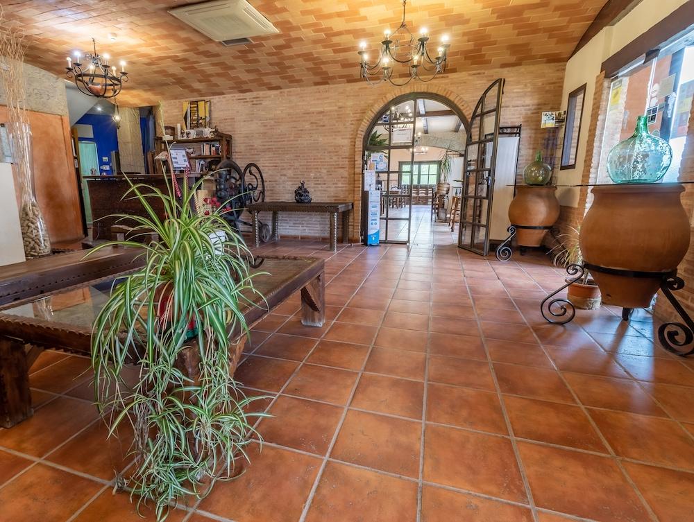 أوستيريا تيرايانا باي هويبي هوتل منطقة الاستقبال