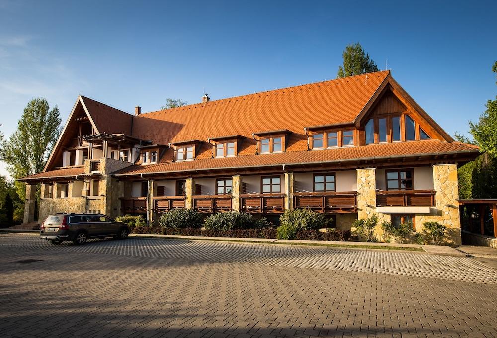 بالاتونفوي ياكت كلوب بالاتونكينيس