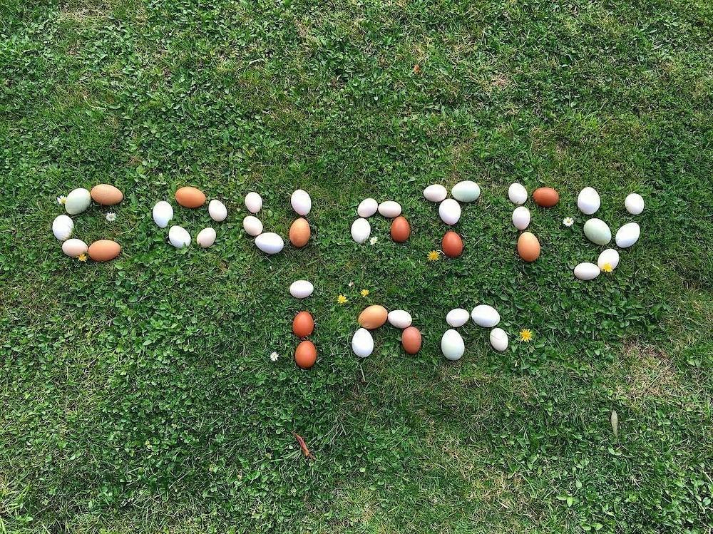 كانتري إن بد آند بريكفاست المنطقة المحيطة بالمنشأة