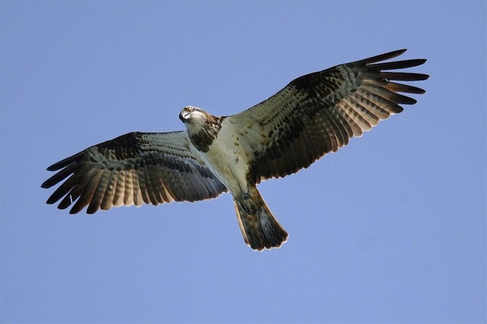 بد آند بريكفاست لا كازا بيانكا دي بورتو كونتي المنطقة الخارجية