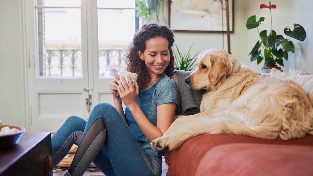 ستاي بريدج سويتس أوبورن هيلز باي آيتش جي داخلي