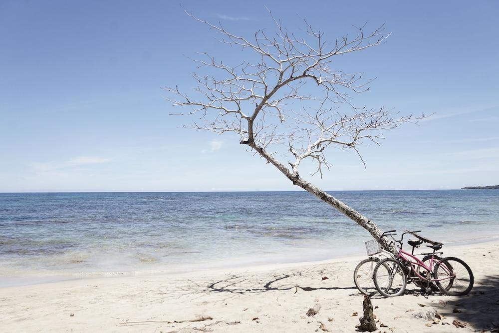 تييرا دي سوينيوس لودج آند ويلنيس سنتر الشاطئ