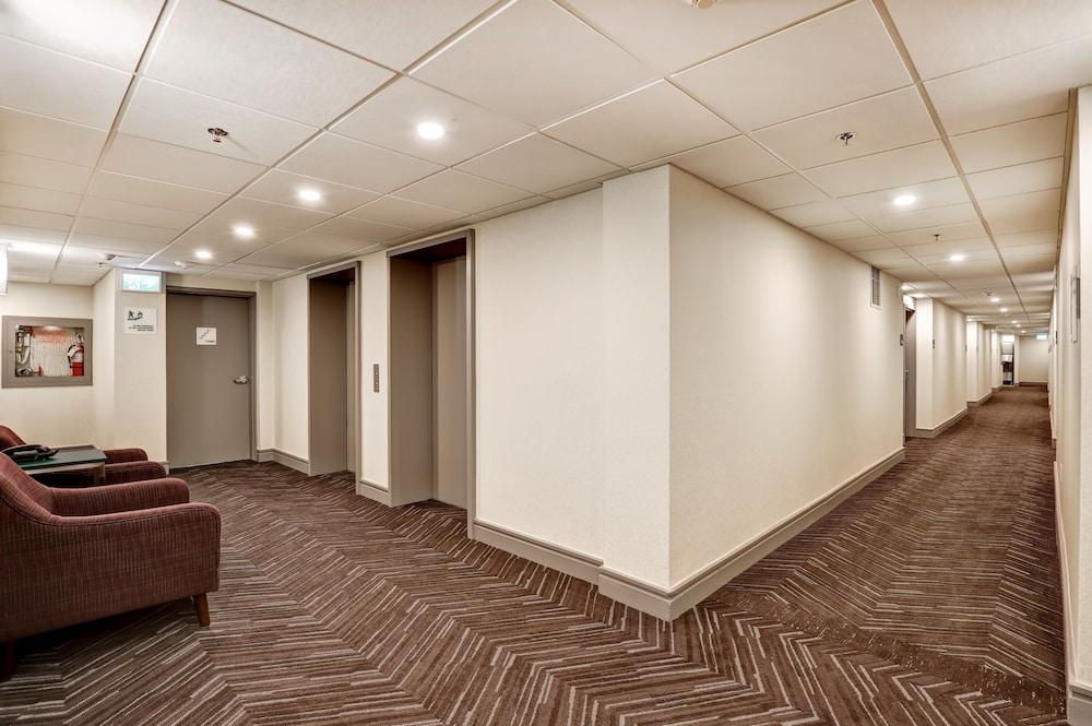 هوليداي إن أوتاوا دٕلنانان  بارليامنت هيل  باي آيتش جي داخلي