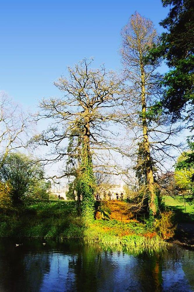 ويمبلدون هوليداي ليتس المنطقة الخارجية