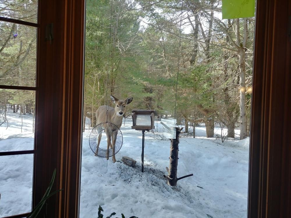 لي جاردان دو لاشيلي ميلفي المنطقة الخارجية