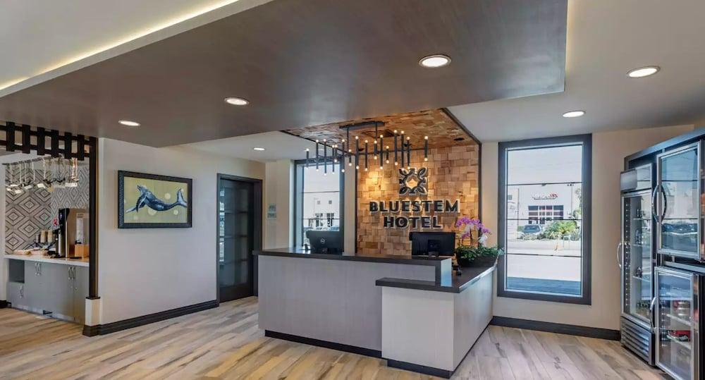 بلويستيم هوتل تورانس لوس أنجيليس، آن أسيند كوليكشن هوتل منطقة الاستقبال