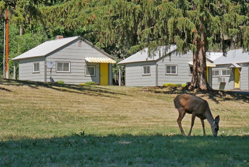 Idle A While Cabins Property Grounds