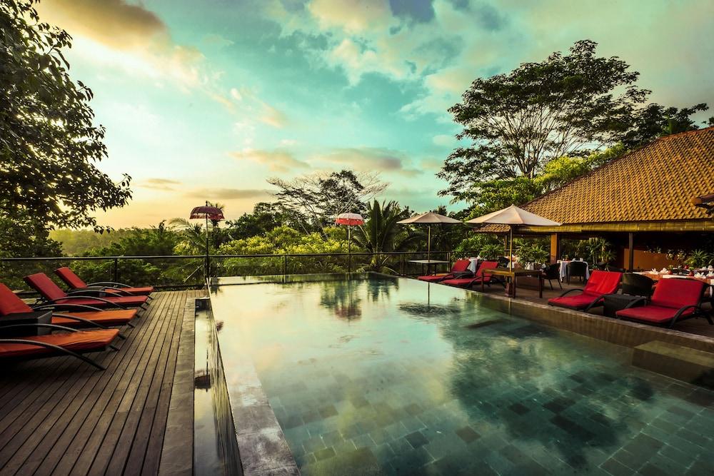 جانغل ريتريت باي كوبو كوبو بارونج حمام سباحة على السطح