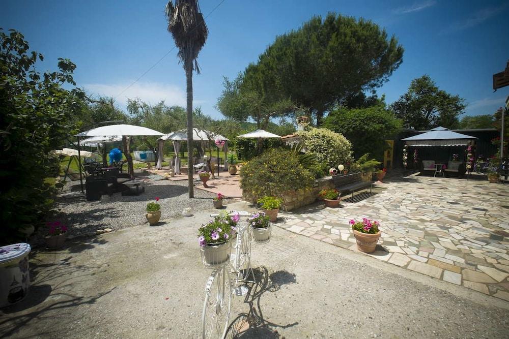 بوديري بيلارينا بد آند بريكفاست المنطقة المحيطة بالمنشأة