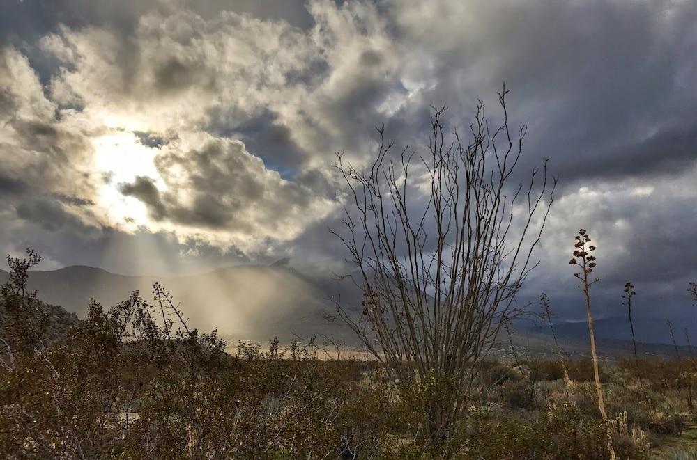 ستيدجكوتش ترايلز آر ف ريزورت المنطقة الخارجية