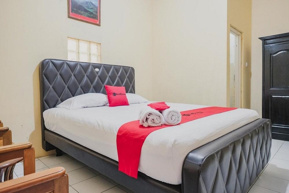 ريد دورز ساريا نير ستاديون مولانا يوسوف