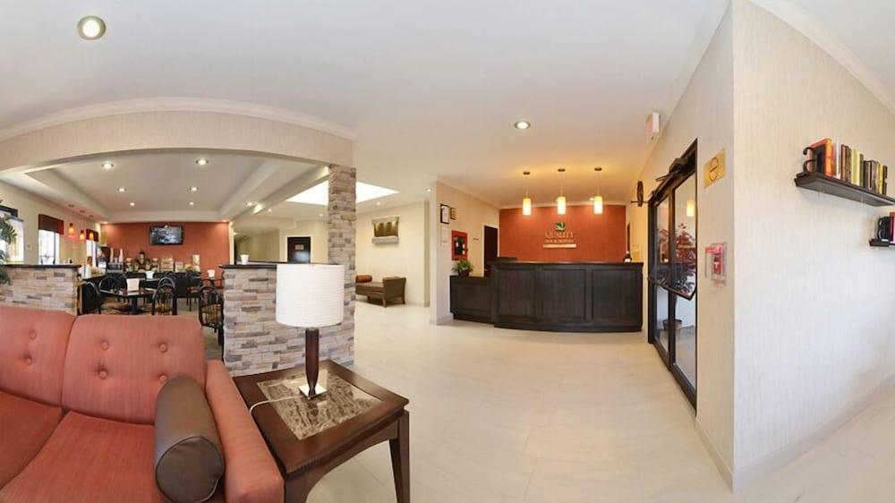 كواليتي إن آند سويتس بومونت منطقة الاستقبال