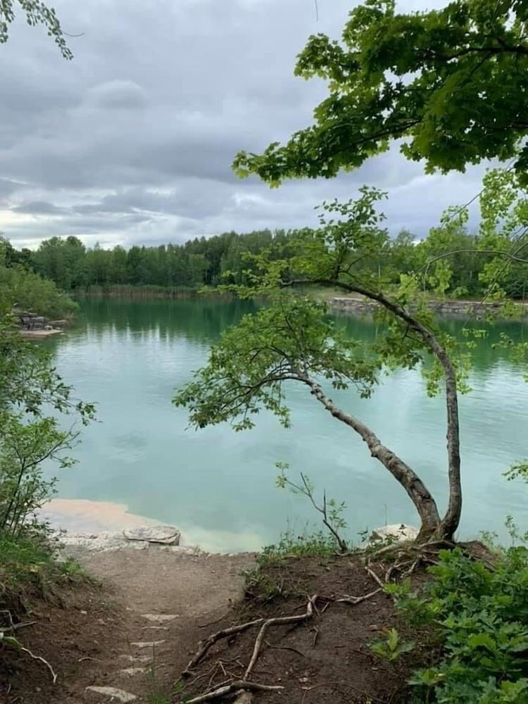 فيلا هاليهولمين المنطقة الخارجية