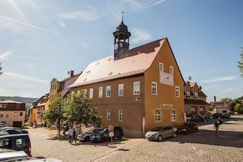 بنسيون آرتيم أوربيس