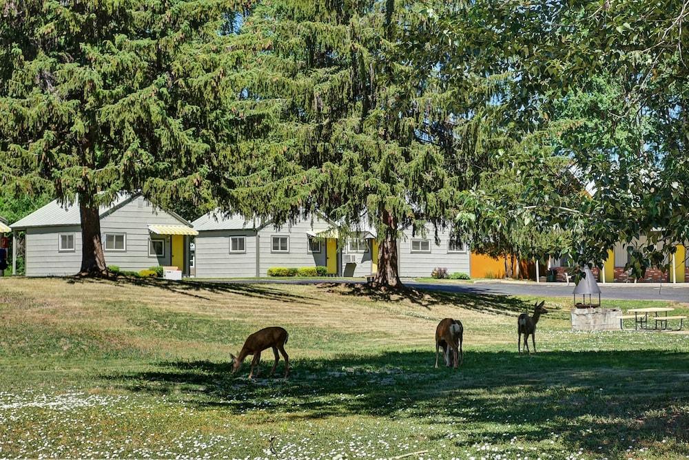 Idle A While Cabins Property Grounds