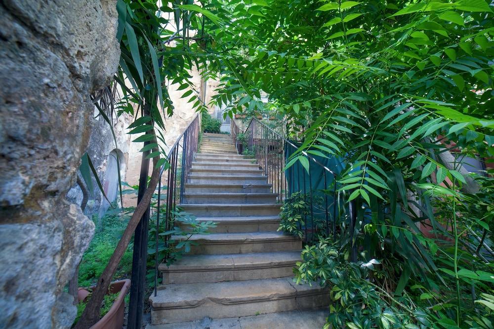 فندق نوفو دو ليبان المنطقة المحيطة بالمنشأة