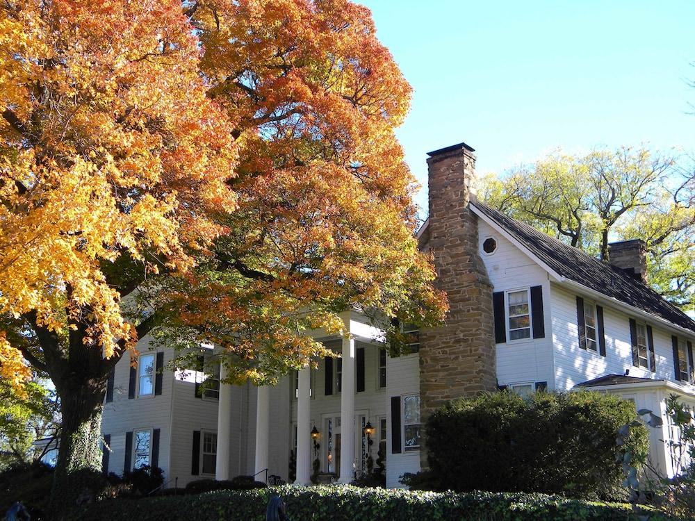 بلاك هورس إن