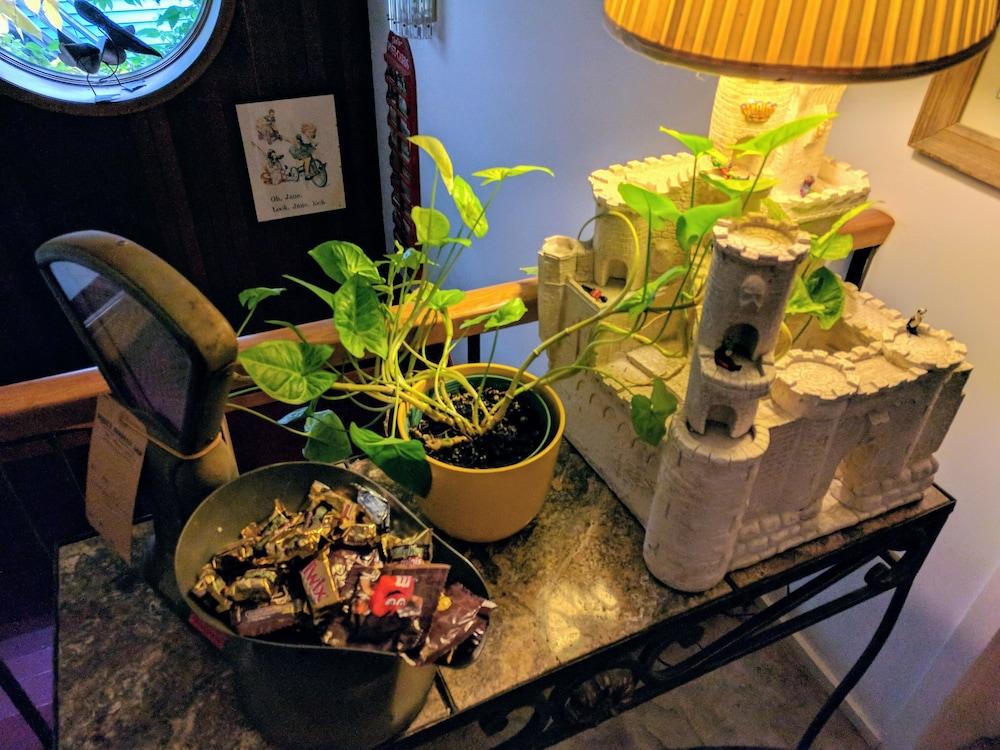 آن آربور بيد آند بريكفاست إن تفاصيل الفندق من الداخل