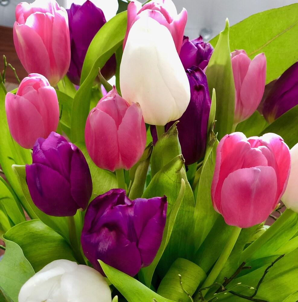 بيرفيكت لايف ستايل ديزاين بوتيك آند برايفات سبا داخلي