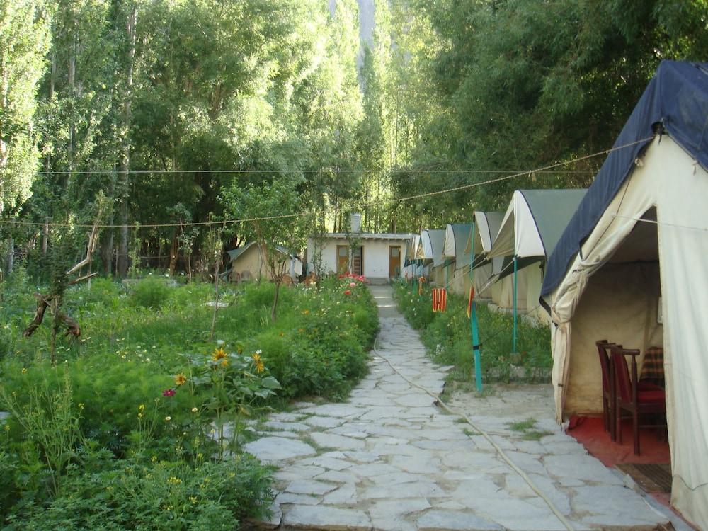 تورتوك هوليدايز - جلامبينج