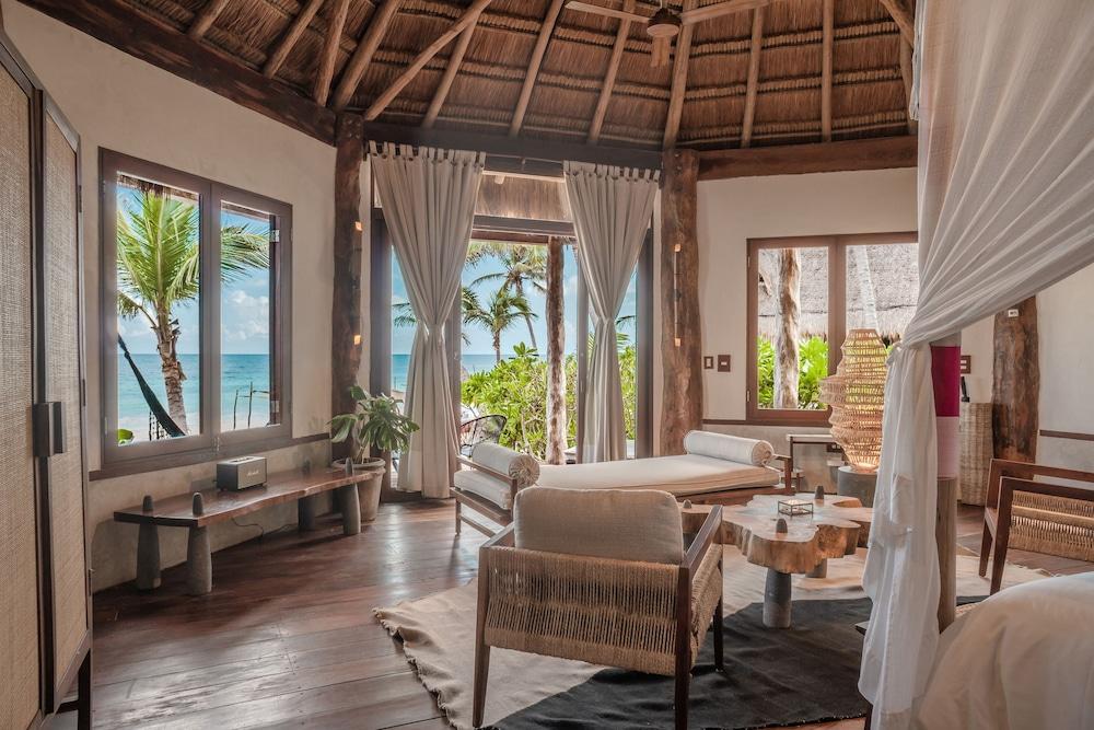 ديليك تولوم