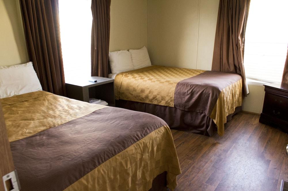 كوتولا هومز