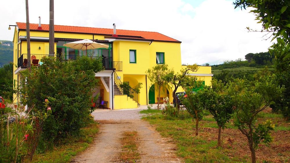 لا لونا نيل فيومي