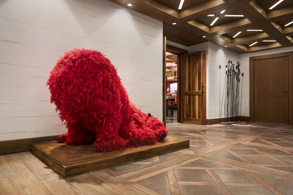 شوفال بلون كورشيفيل داخلي