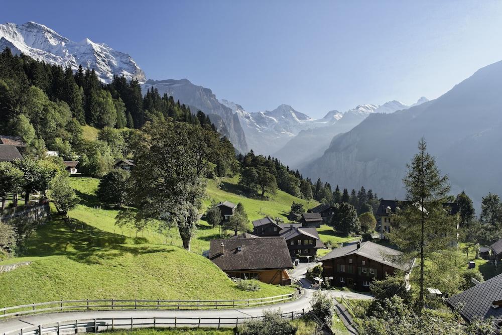 هوتل ألبينروز وينجين منظر من الجو