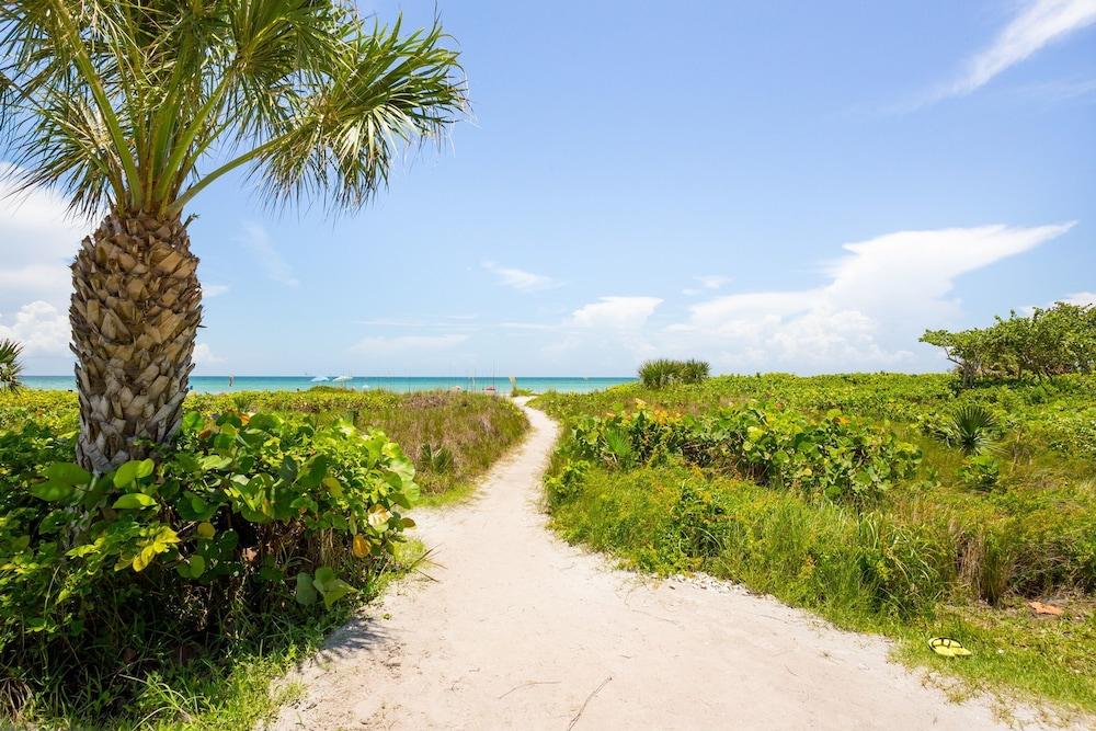 Loggerhead 443 Property Grounds