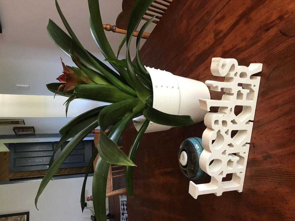 جويدفيرترو جيست فارم تفاصيل الفندق من الداخل