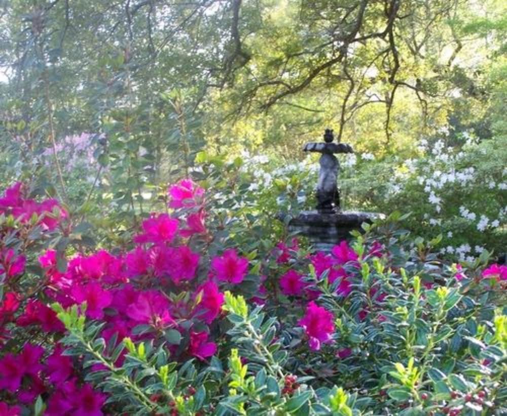 وودريدج بيد آند بريكفاست أوف لويزيانا المنطقة المحيطة بالمنشأة