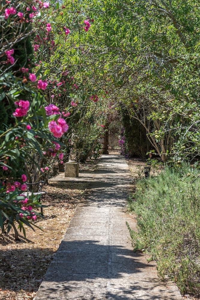 هوتل رورال بينياروكا - للبالغين فقط المنطقة المحيطة بالمنشأة