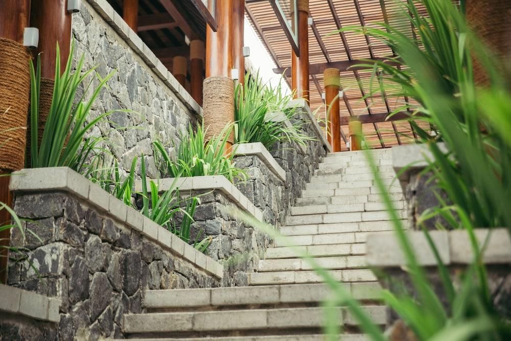 أنانتايا ريزورت آند سبا باسيكوداه المنطقة الخارجية