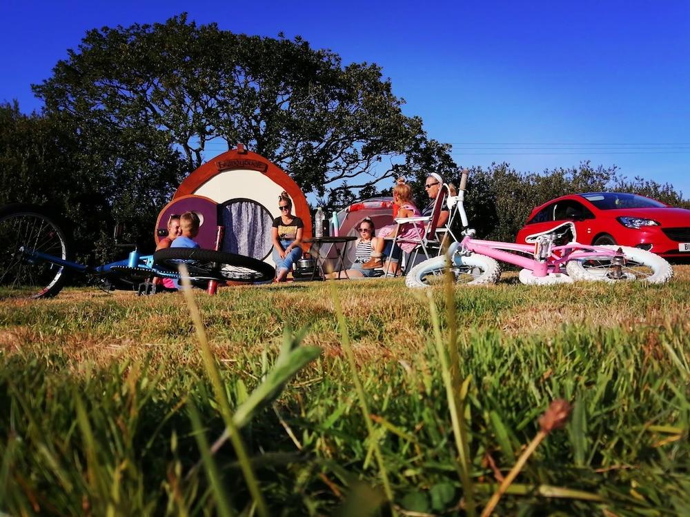 سيكلوديد ميدوو، يونيك شاير هات، بيرفيكت كامبينج الصورة الأساسية