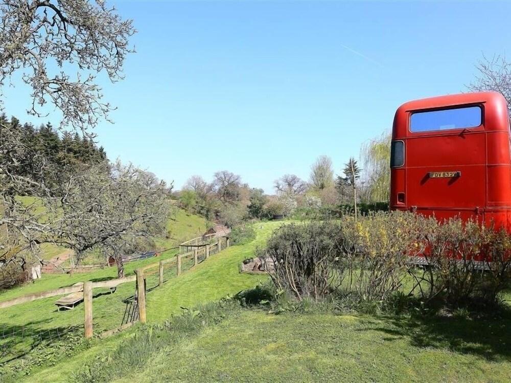 The Red Bus! Property Grounds