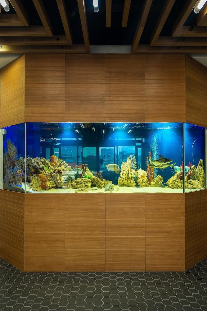 أتلانتيك باي أستا هوتلز تفاصيل الفندق من الداخل