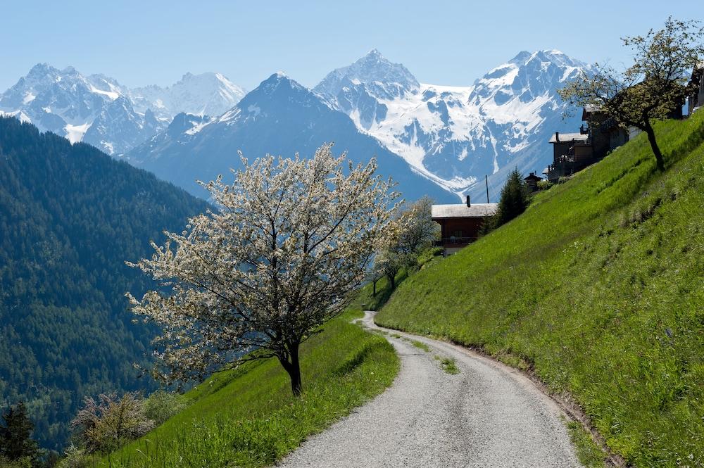 Montagne Alternative Property Grounds