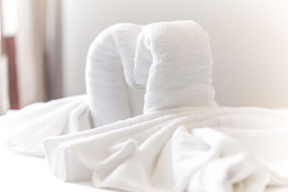 SAV Wembley Studios Interior