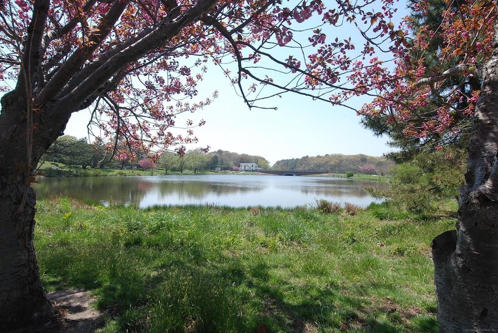 هينلوبين يونيت 410 باي لونج آند فوستر المنطقة المحيطة بالمنشأة