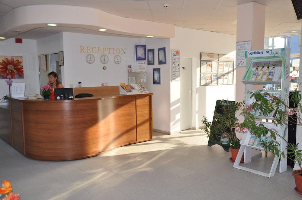 هوتل بيل فيل منطقة الاستقبال