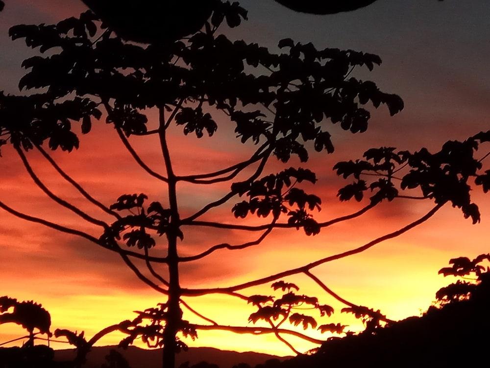 بورتال دو أفالون