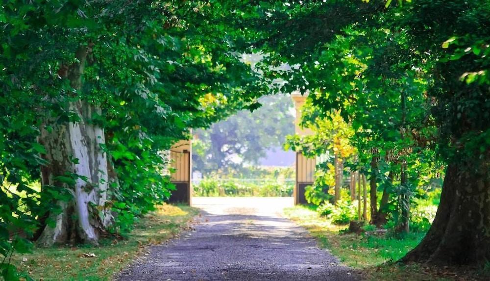 أوبوتشون هوتل المنطقة المحيطة بالمنشأة